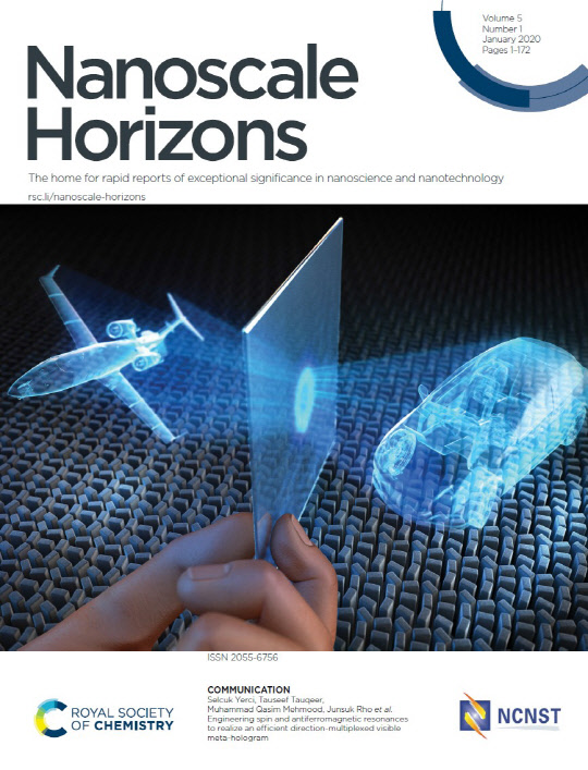 세계적인 나노분야 학술지인 '나노스케일 호라이즌' 올해 1월호 표지에 소개된 '고효율 방향 다중화 가시 메타 홀로그램' 이미지.   <출처=노준석 포스텍 기계·화학공학과 교수 홈페이지>